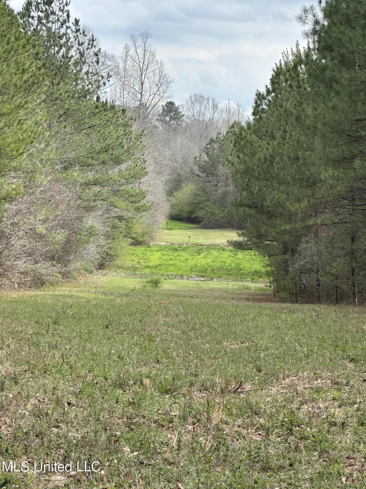 0 Owen Boone Road Brandon, MS 39042 - Photo 12 of 14 Photo Mar 13 2024, 3 02 54 PM