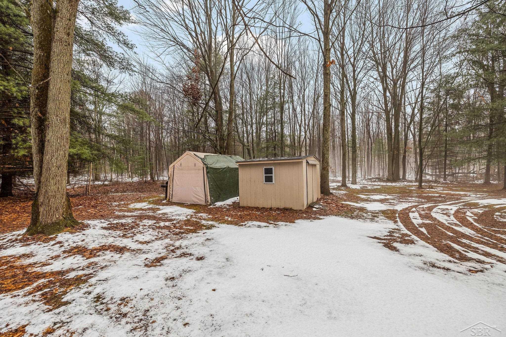 2817 North Carter Road Pinconning, MI 48650 - Photo 11 of 42
