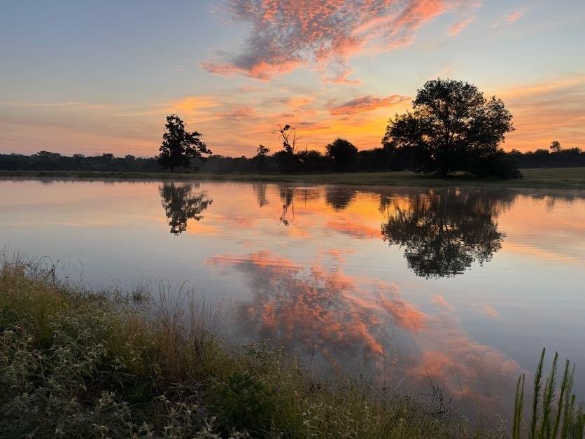 Lot 23 Fm 514 Road Yantis, TX 75497 - Photo 6 of 9