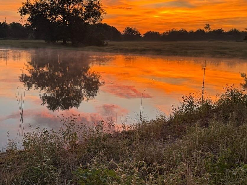 Lot 23 Fm 514 Road Yantis, TX 75497 - Photo 7 of 9