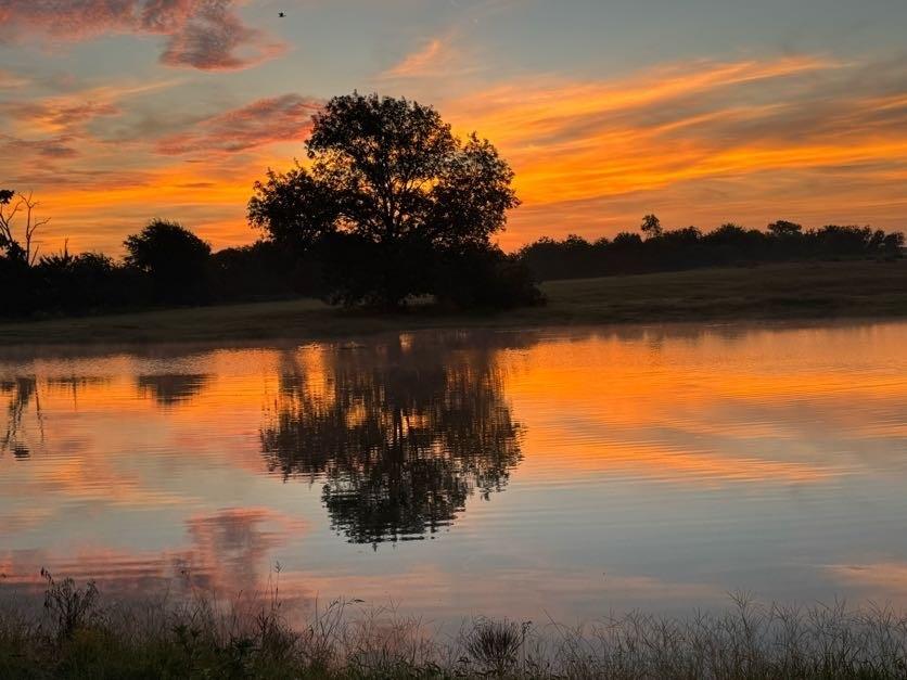 Lot 23 Fm 514 Road Yantis, TX 75497 - Photo 8 of 9