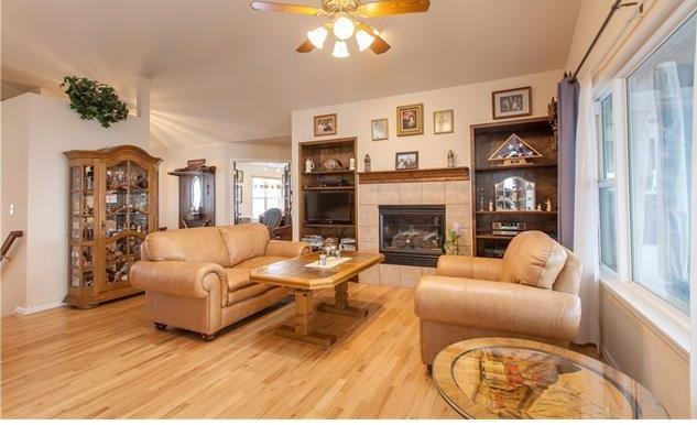 1038 Bowstring Road Monument, CO 80132 - Photo 3 of 25 a living room with furniture and a fireplace