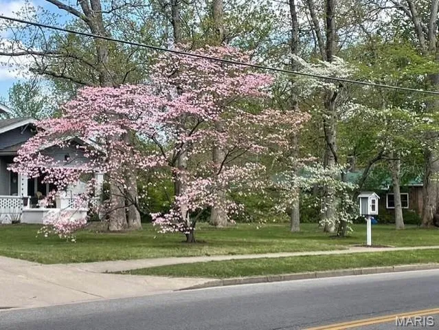 $264,000 | 645 Salem Avenue, Rolla, MO 65401