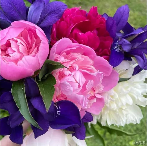 $264,000 | 645 Salem Avenue, Rolla, MO 65401