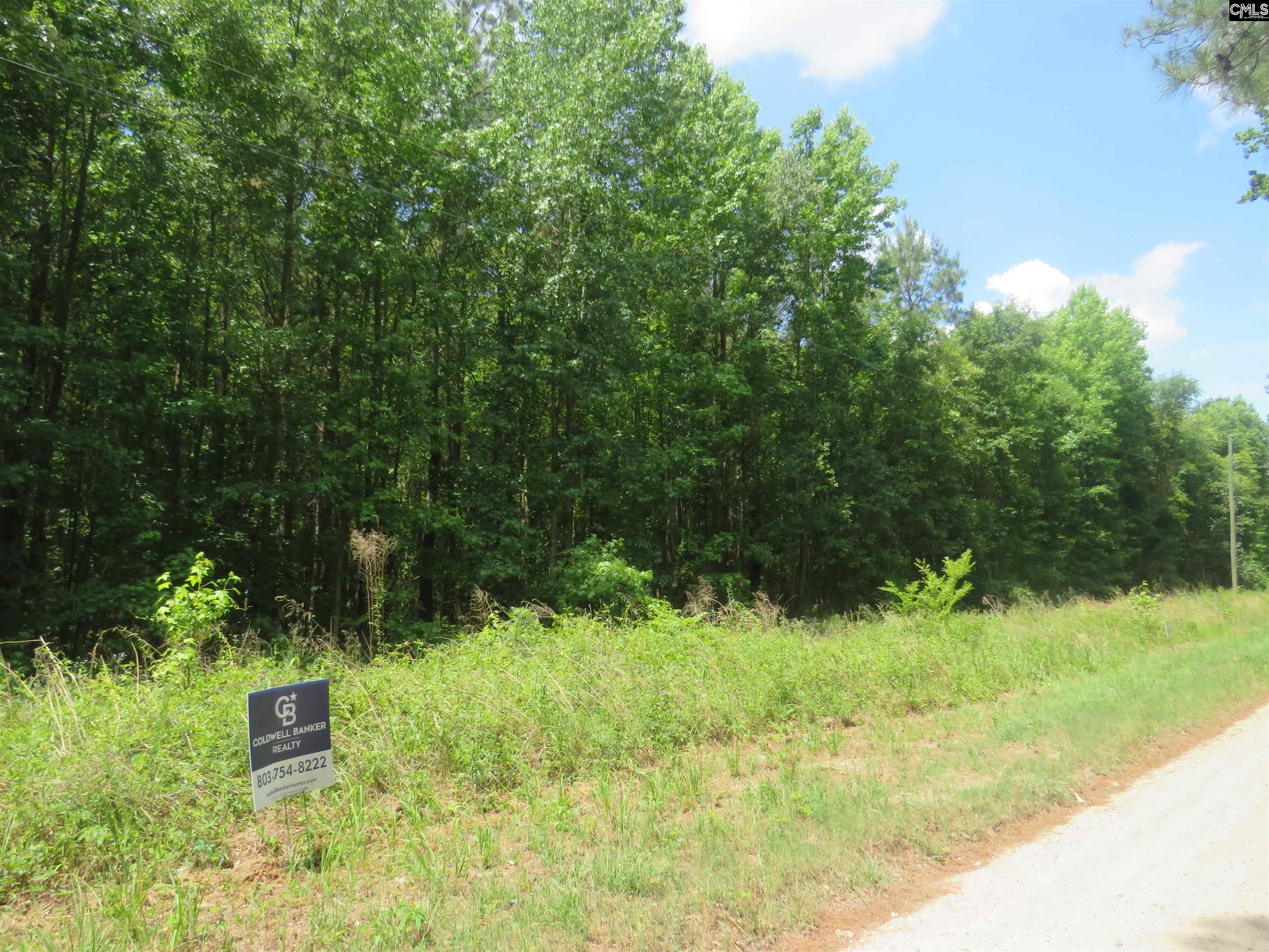 Old Eastover Road Eastover, SC 29044 - Photo 12 of 13