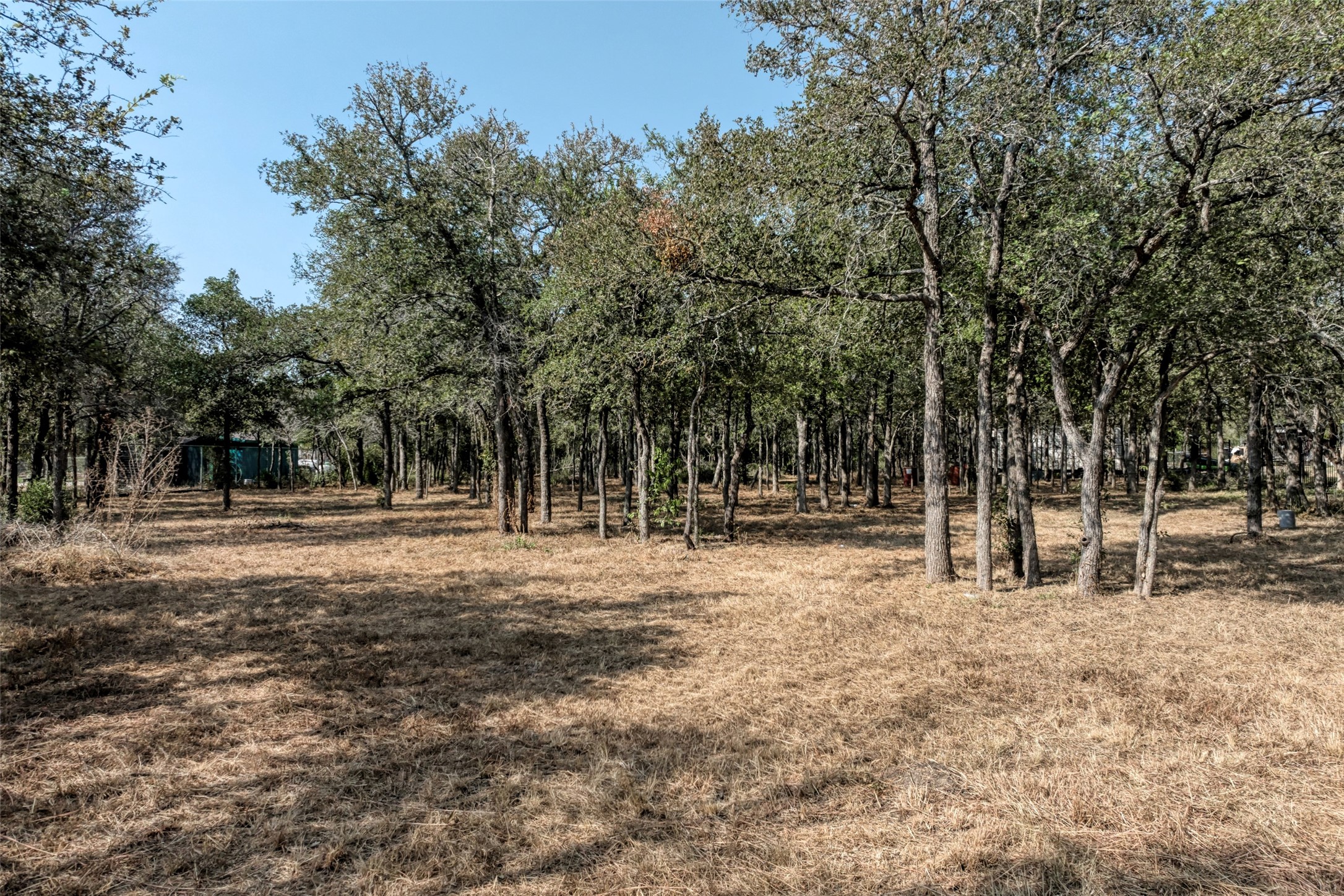 222 Rio Vista Ranch Road Dale, TX 78616 - Photo 6 of 21 Gallery Image 6