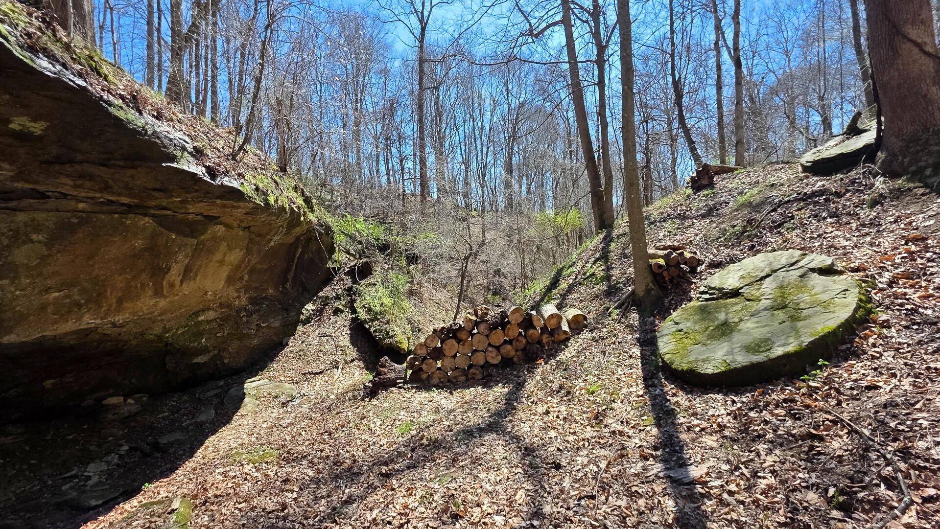 0 Remely Road, Unit MILLSTONE CAVES TRACT 1) Cutler, OH 45724 - Photo 11 of 41 CT-10