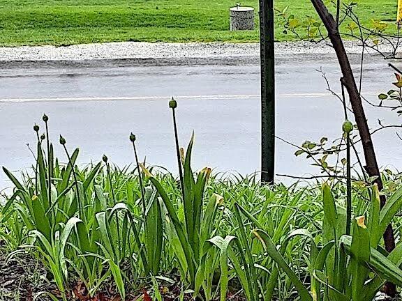 75 Hillcrest Road Portage, IN 46368 - Photo 2 of 24 576x432