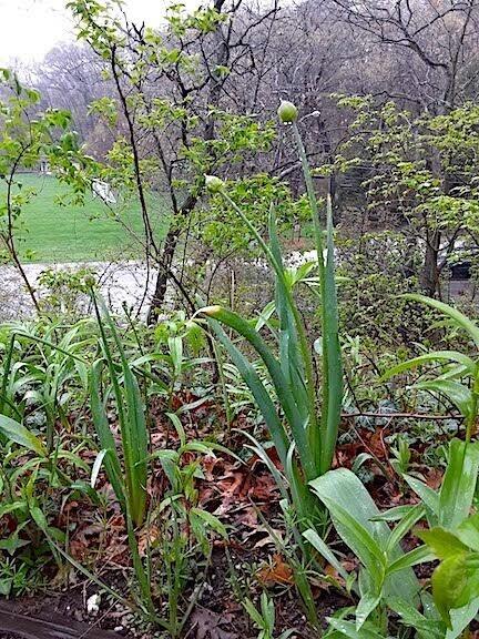 75 Hillcrest Road Portage, IN 46368 - Photo 24 of 24 432x576