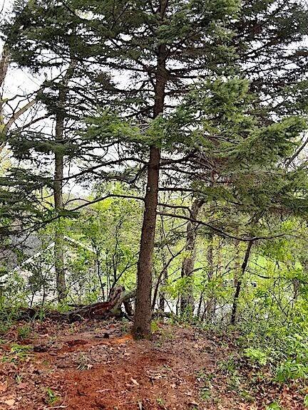 75 Hillcrest Road Portage, IN 46368 - Photo 10 of 24 432x576