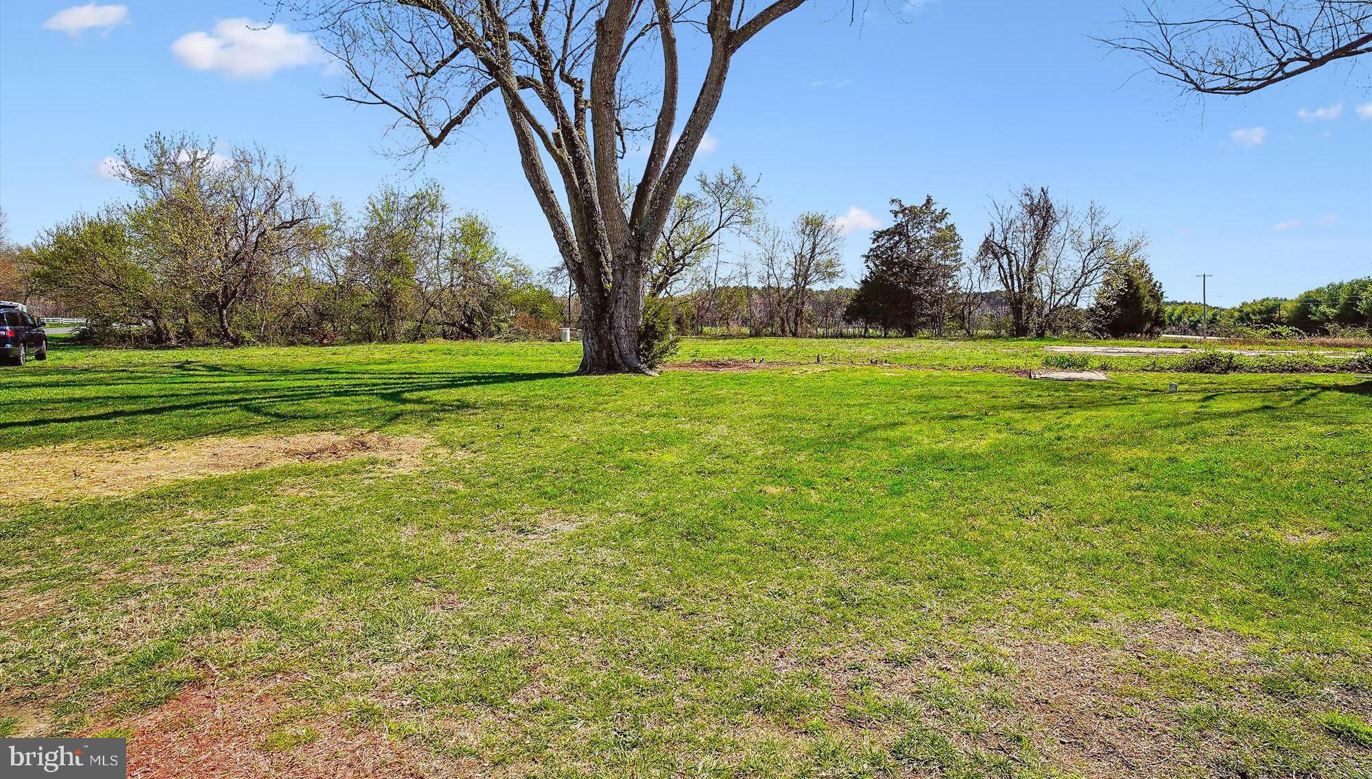 2554 Church Hill Road Centreville, MD 21617 - Photo 27 of 27 a view of a field with large trees