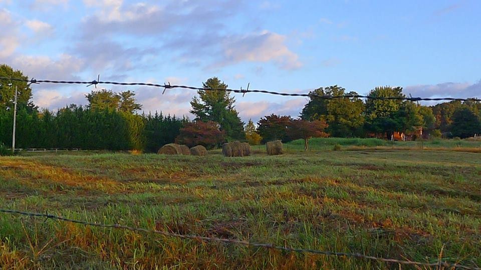 107 Guffey Road Sweetwater, TN 37874 - Photo 15 of 40 Gallery Image 15