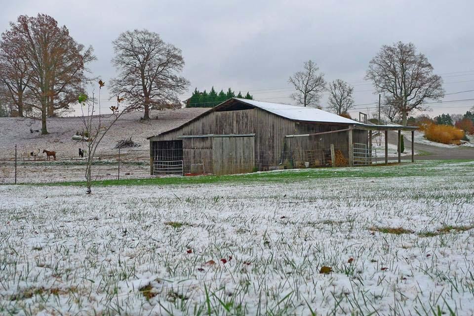 107 Guffey Road Sweetwater, TN 37874 - Photo 17 of 40 Gallery Image 17