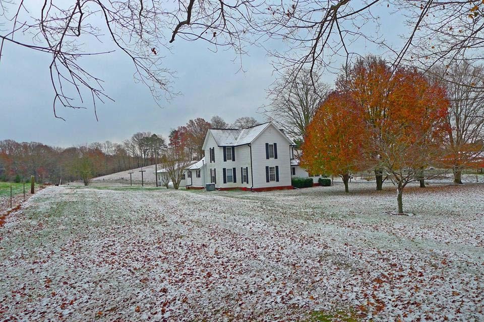 107 Guffey Road Sweetwater, TN 37874 - Photo 18 of 40 Gallery Image 18