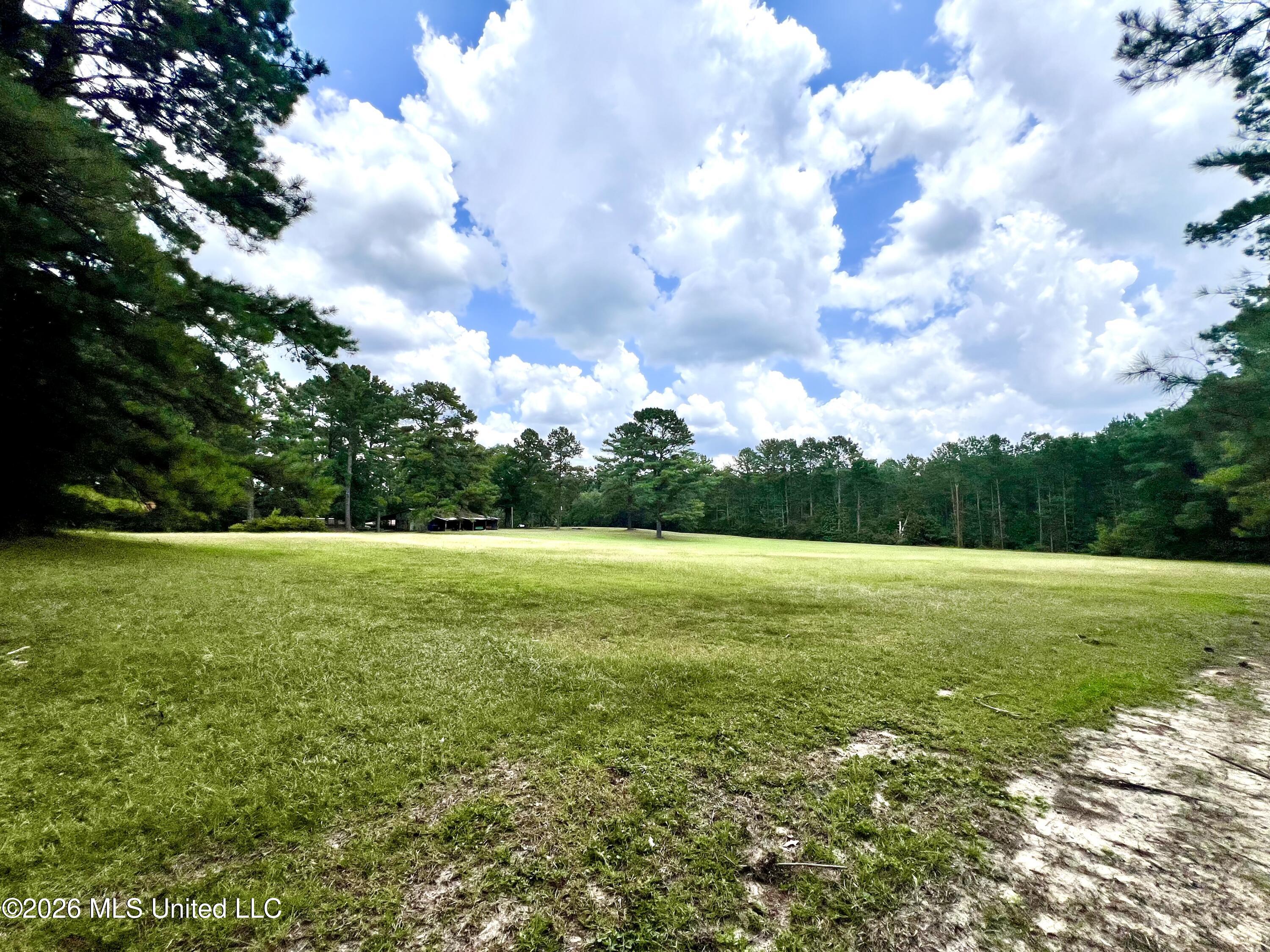 978 Butler Road Smithdale, MS 39664 - Photo 25 of 26 IMG_7212