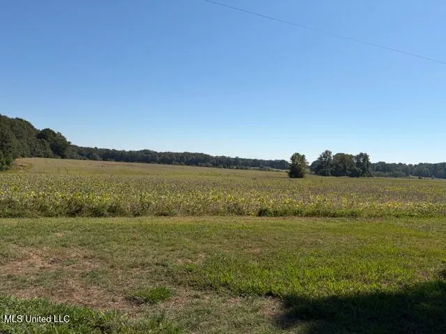 $1,500 | 3531 Horn Lake Road South, Hernando, MS 38632