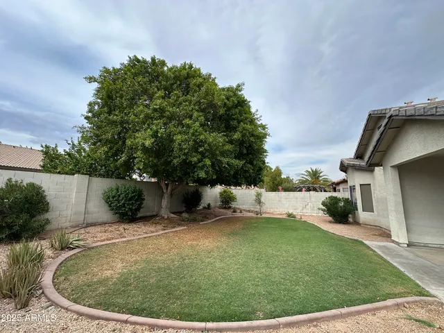 a view of a backyard with plants and a patio