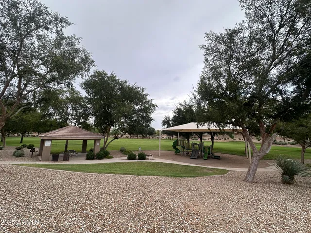 a view of a park with large trees