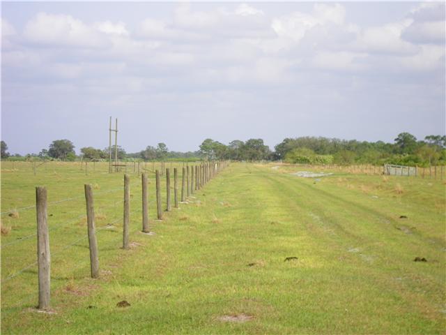 Fox Brown Road Indiantown, FL 34956 - Photo 4 of 24 Additional Photo