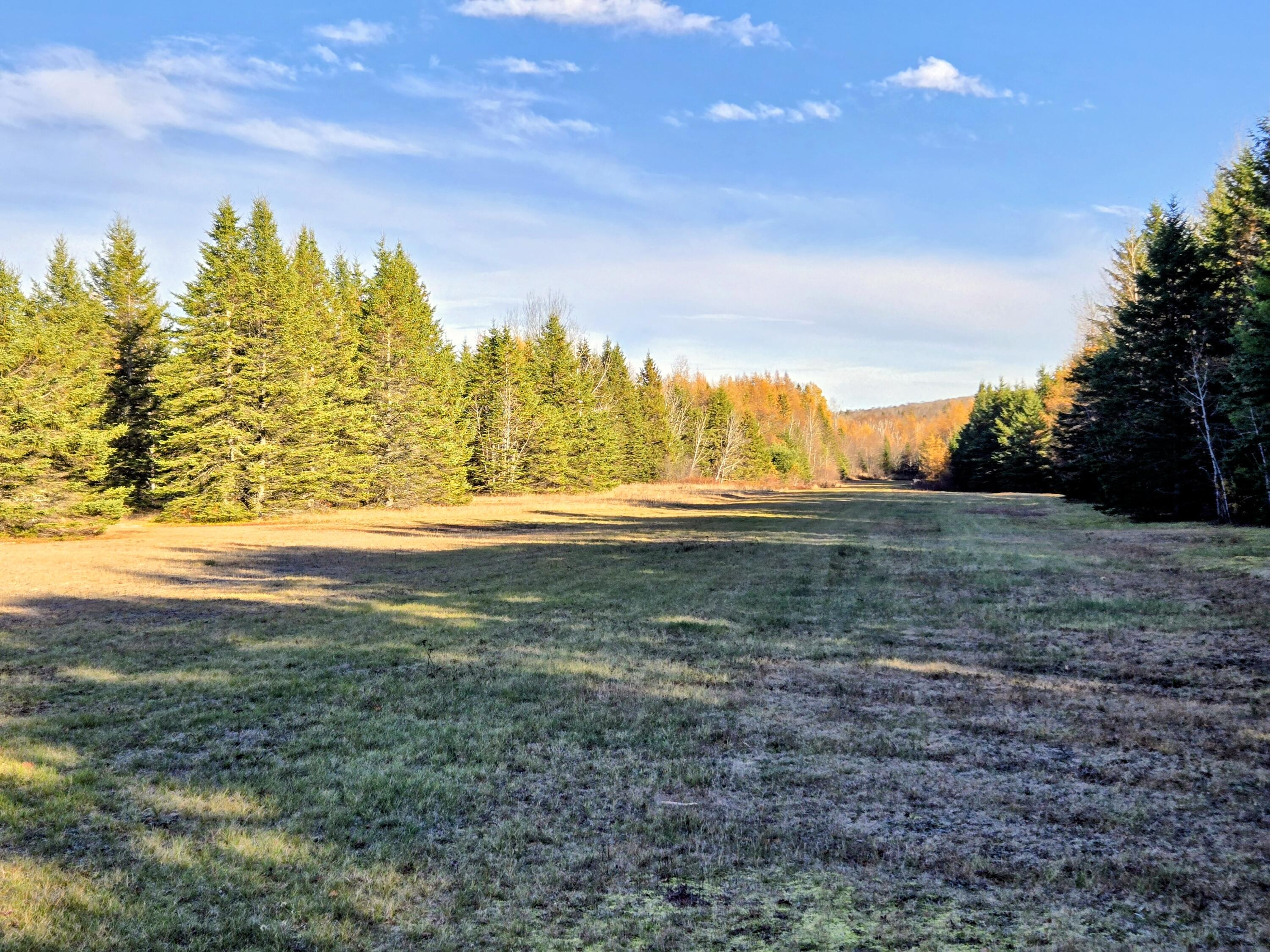 Lot 11 Holeb Road Jackman, ME 04945 - Photo 41 of 59 Private Airstrip. Pilots Take Notice!