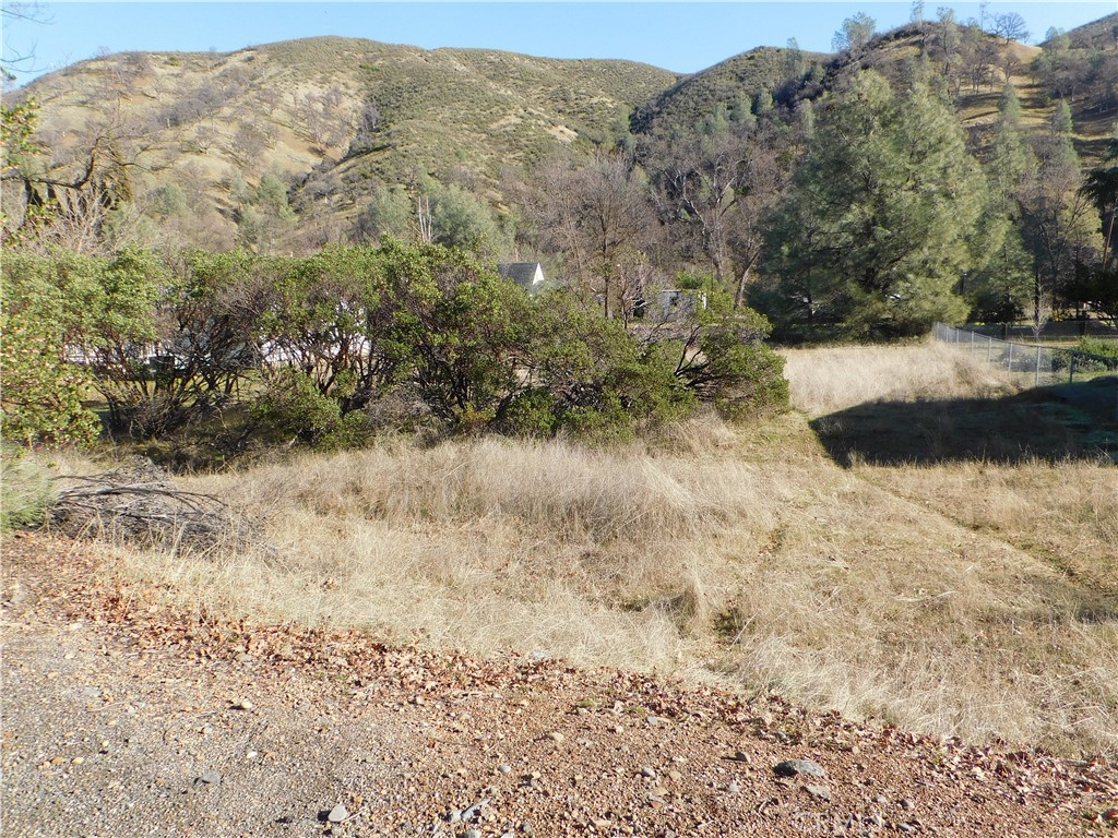 3660 Spring Valley Road Clearlake Oaks, CA 95423 - Photo 6 of 6 a view of a yard with a tree