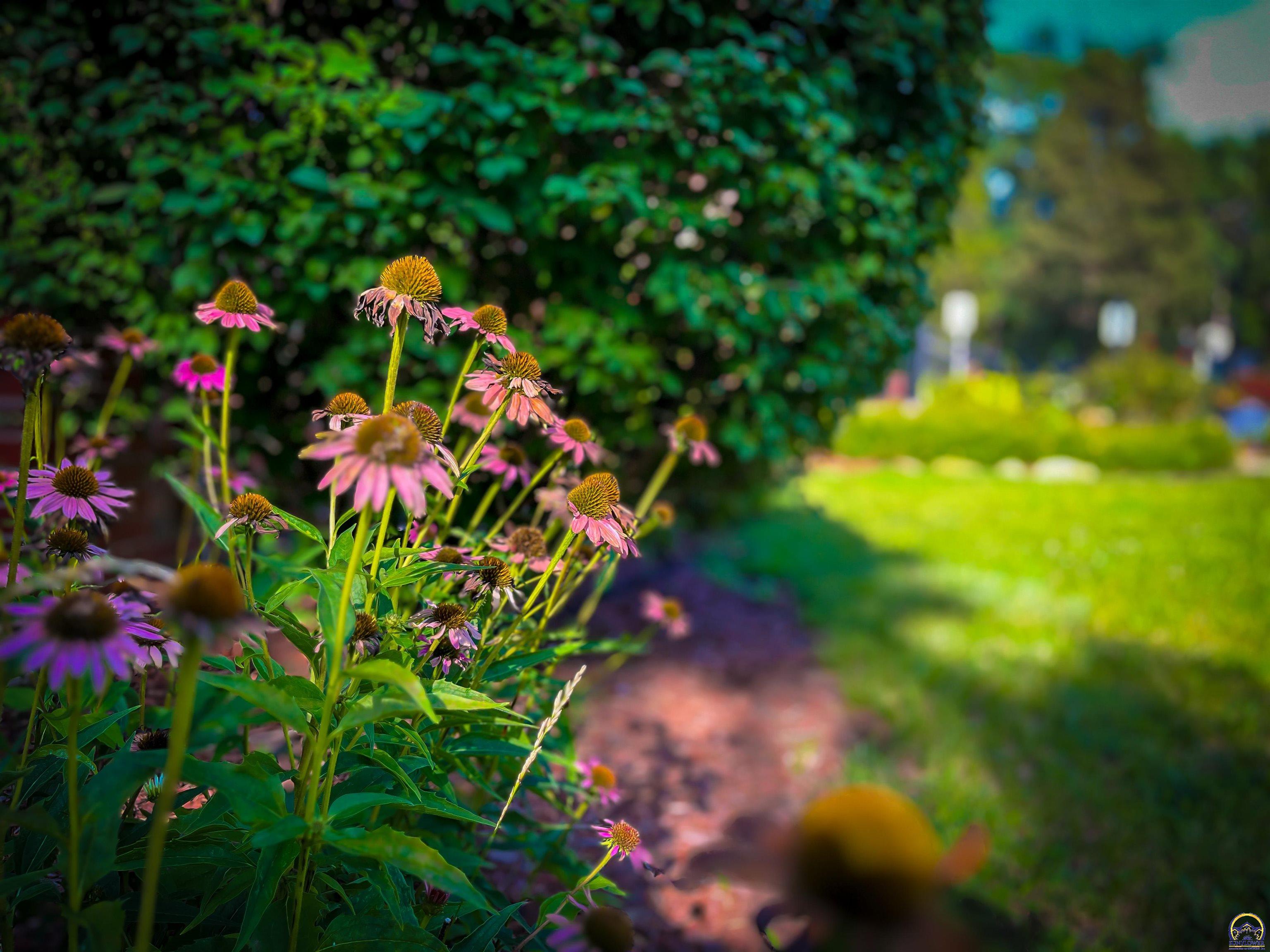2516 Southwest Huntoon Street Topeka, KS 66604 - Photo 7 of 37