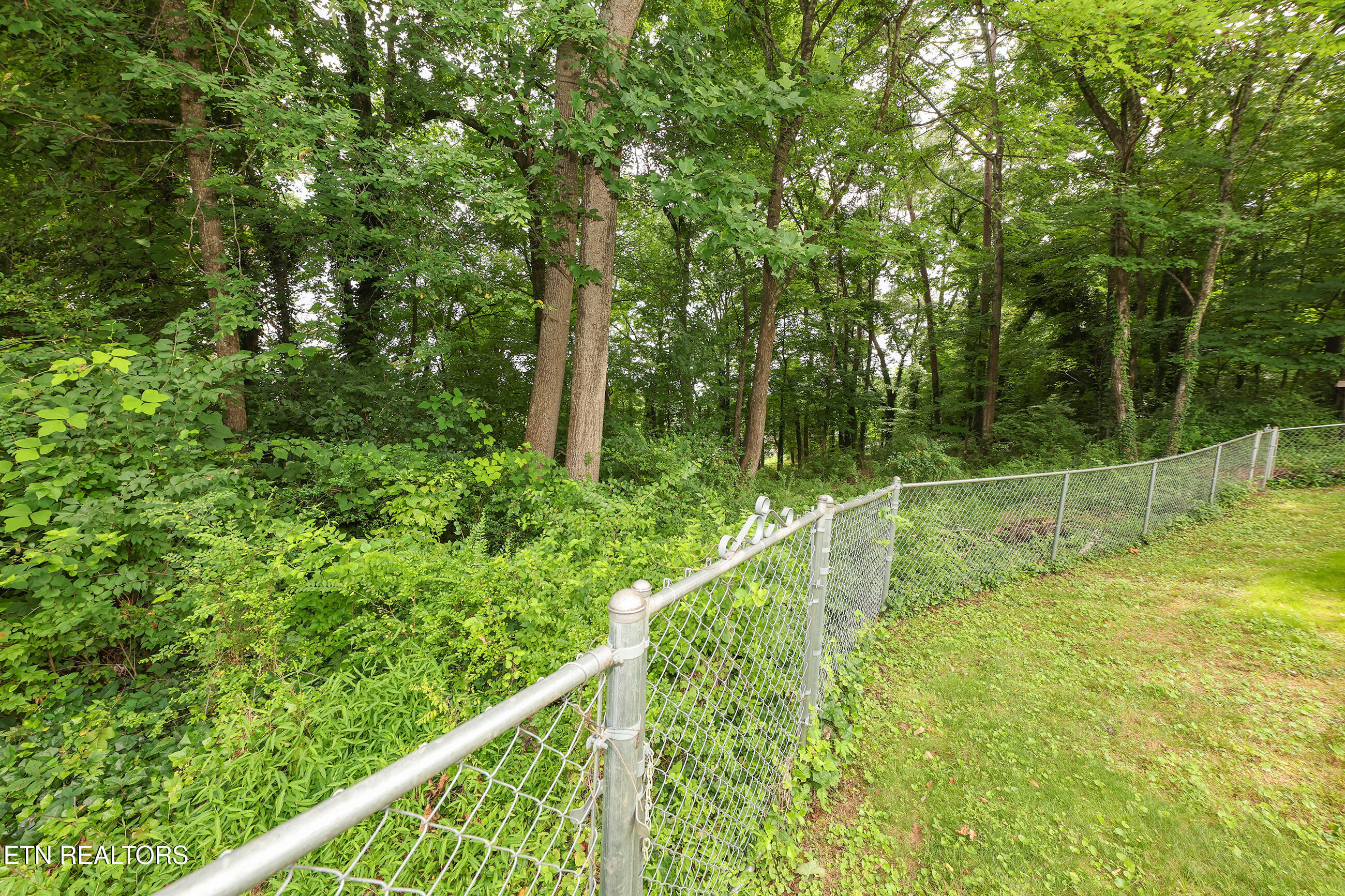 117 Tabor Road Oak Ridge, TN 37830 - Photo 49 of 50 117 fence 1