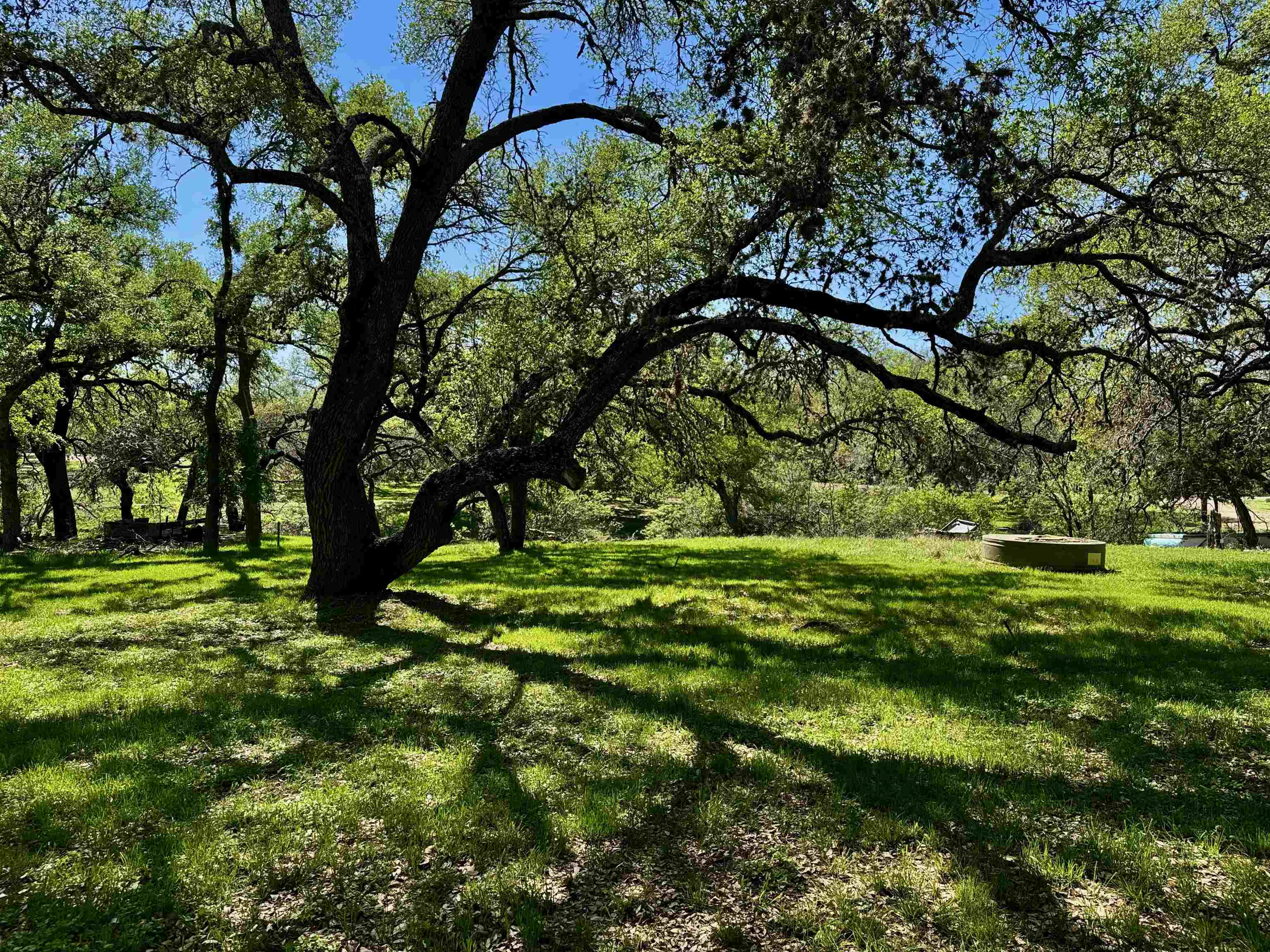 0 Cedar Trail Tow, TX 78672 - Photo 9 of 11