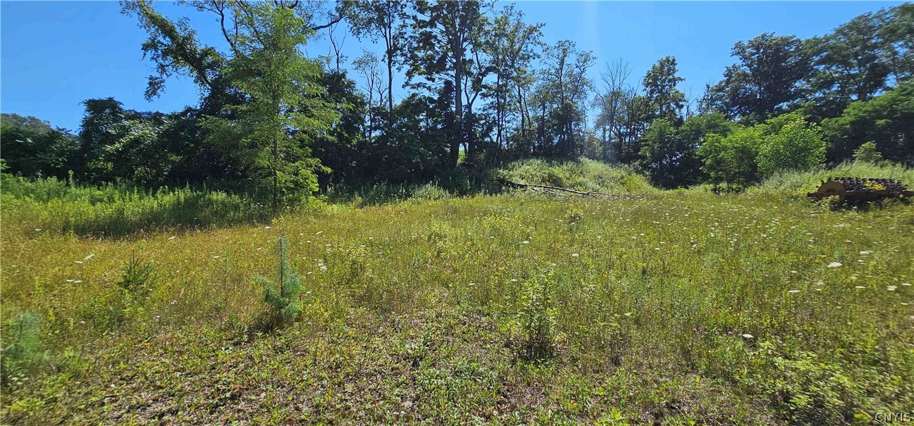 Hilton Road Dryden, NY 13053 - Photo 7 of 12 Gallery Image 7