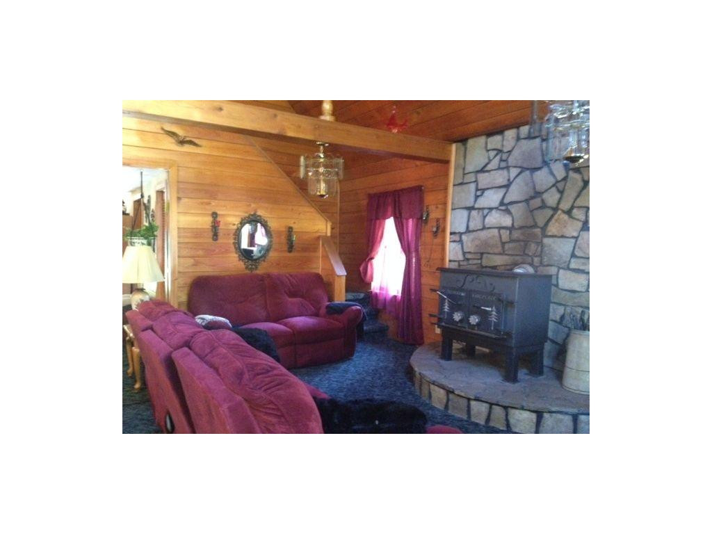 19447 Abrams Falls Road Bristol, VA 24202 - Photo 11 of 23 Living room wstone FP