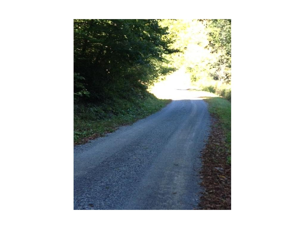 19447 Abrams Falls Road Bristol, VA 24202 - Photo 21 of 23 Abrams Falls is a Gravel Road
