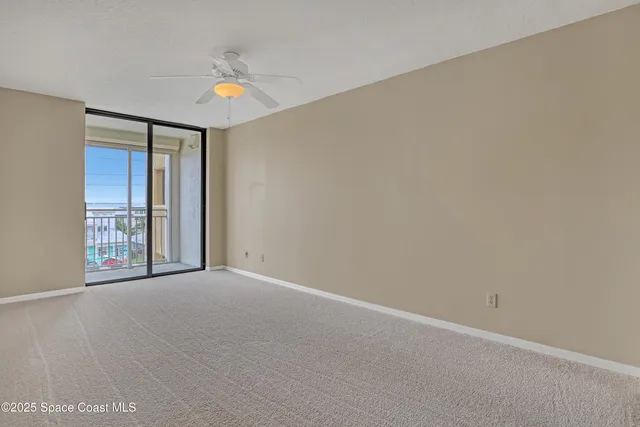a view of a backyard with plants