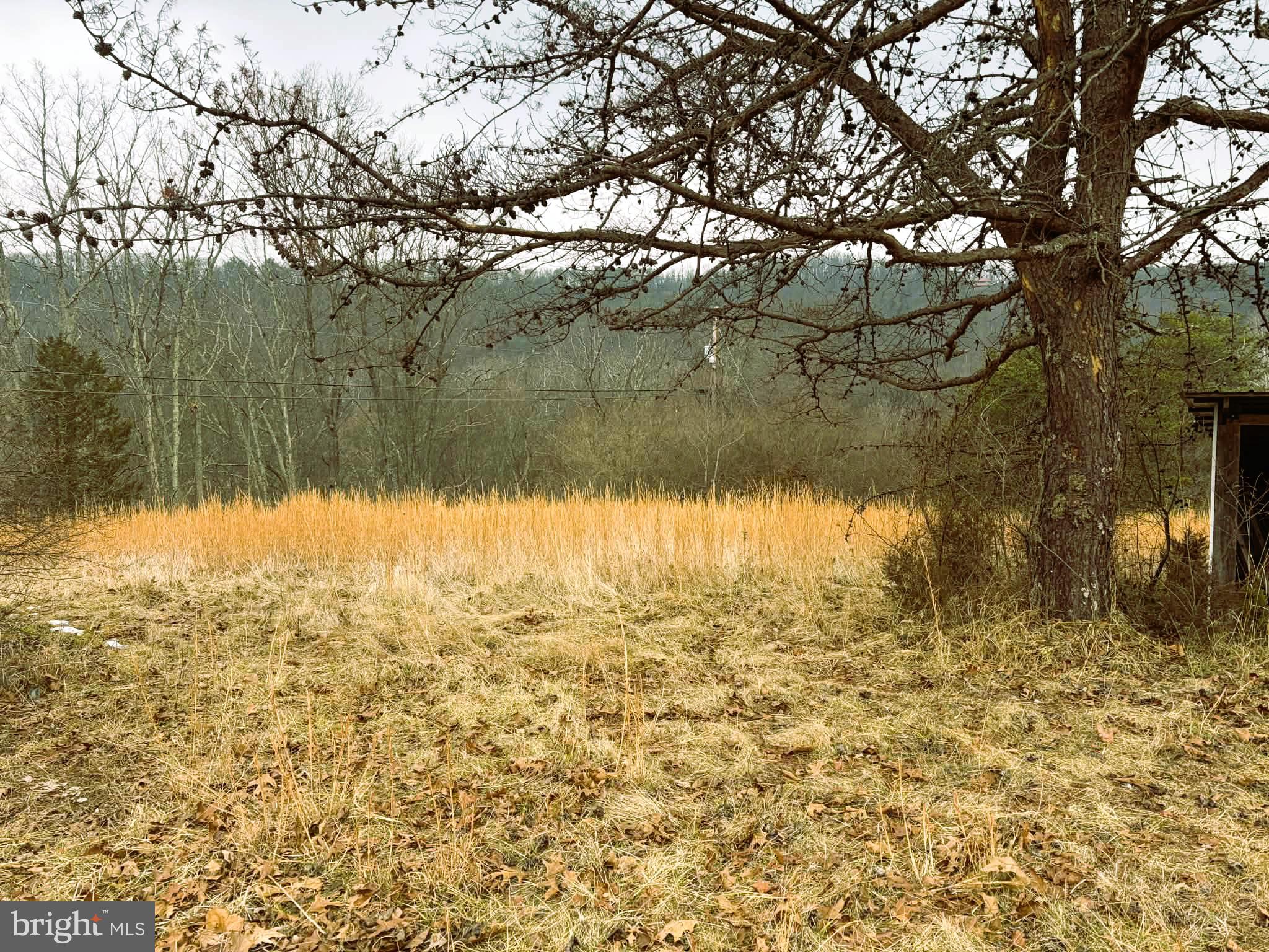 986 Rushing River Road Augusta, WV 26704 - Photo 29 of 40 Back yard view East