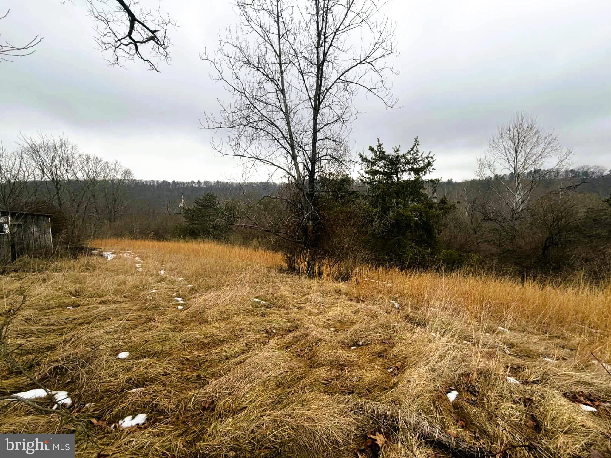 986 Rushing River Road Augusta, WV 26704 - Photo 30 of 40