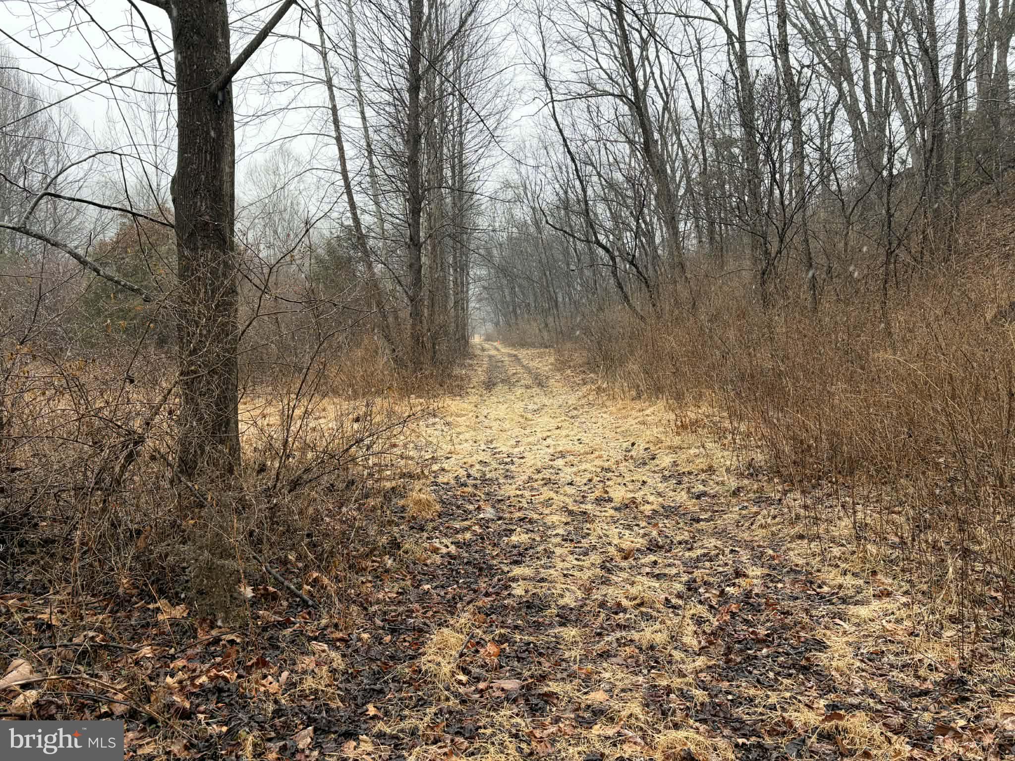 986 Rushing River Road Augusta, WV 26704 - Photo 31 of 40