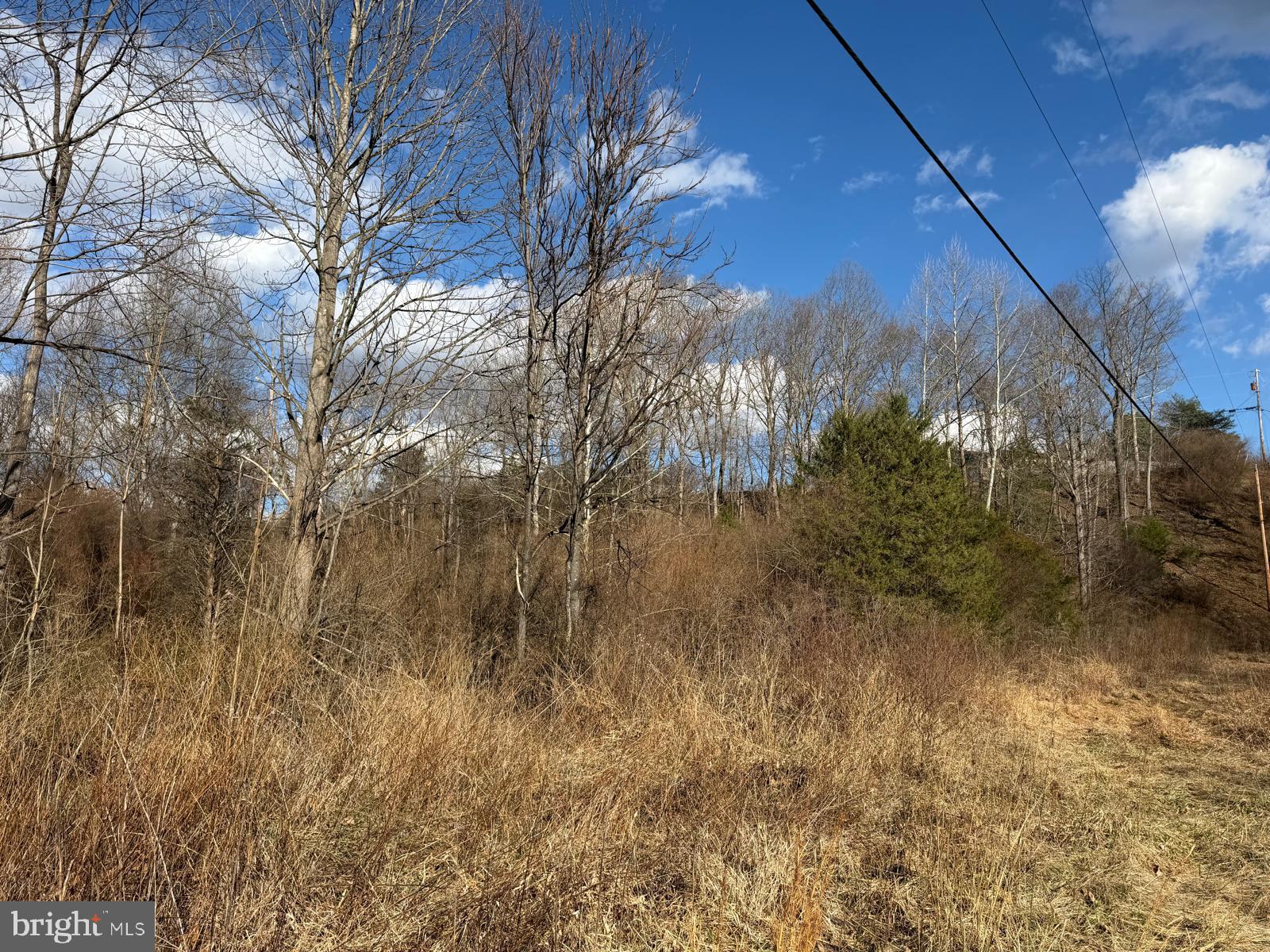 986 Rushing River Road Augusta, WV 26704 - Photo 32 of 40