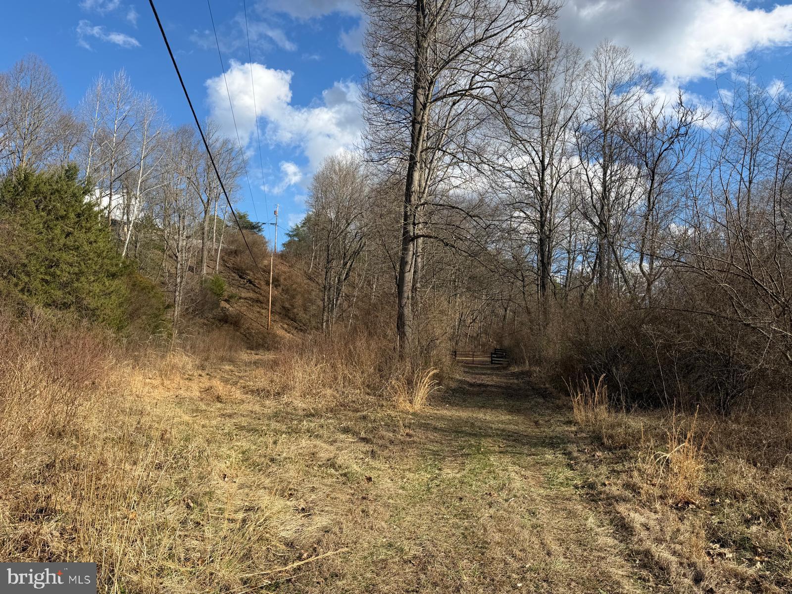 986 Rushing River Road Augusta, WV 26704 - Photo 33 of 40