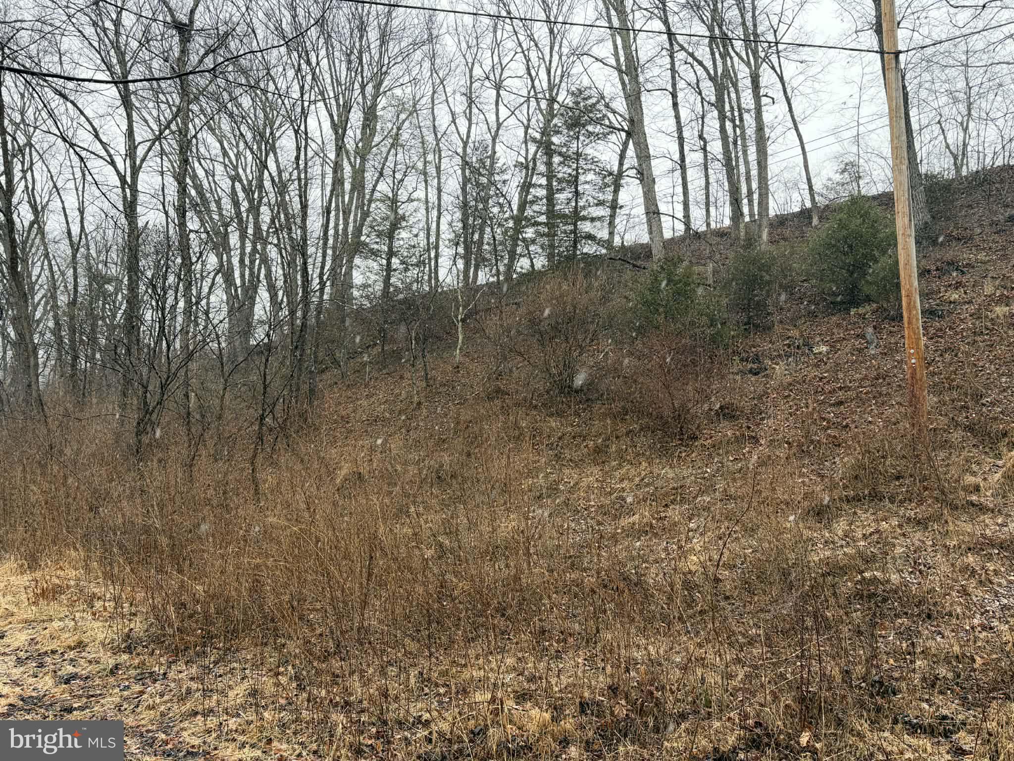 986 Rushing River Road Augusta, WV 26704 - Photo 35 of 40