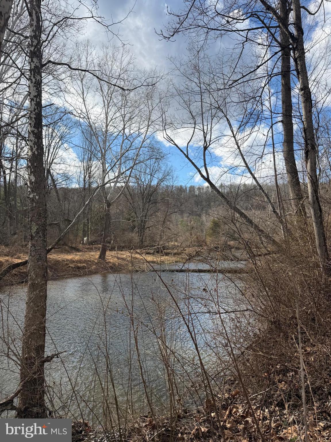 986 Rushing River Road Augusta, WV 26704 - Photo 37 of 40