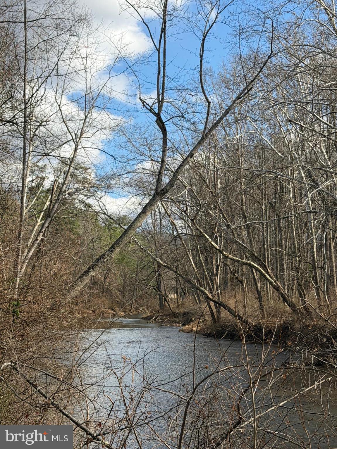 986 Rushing River Road Augusta, WV 26704 - Photo 38 of 40