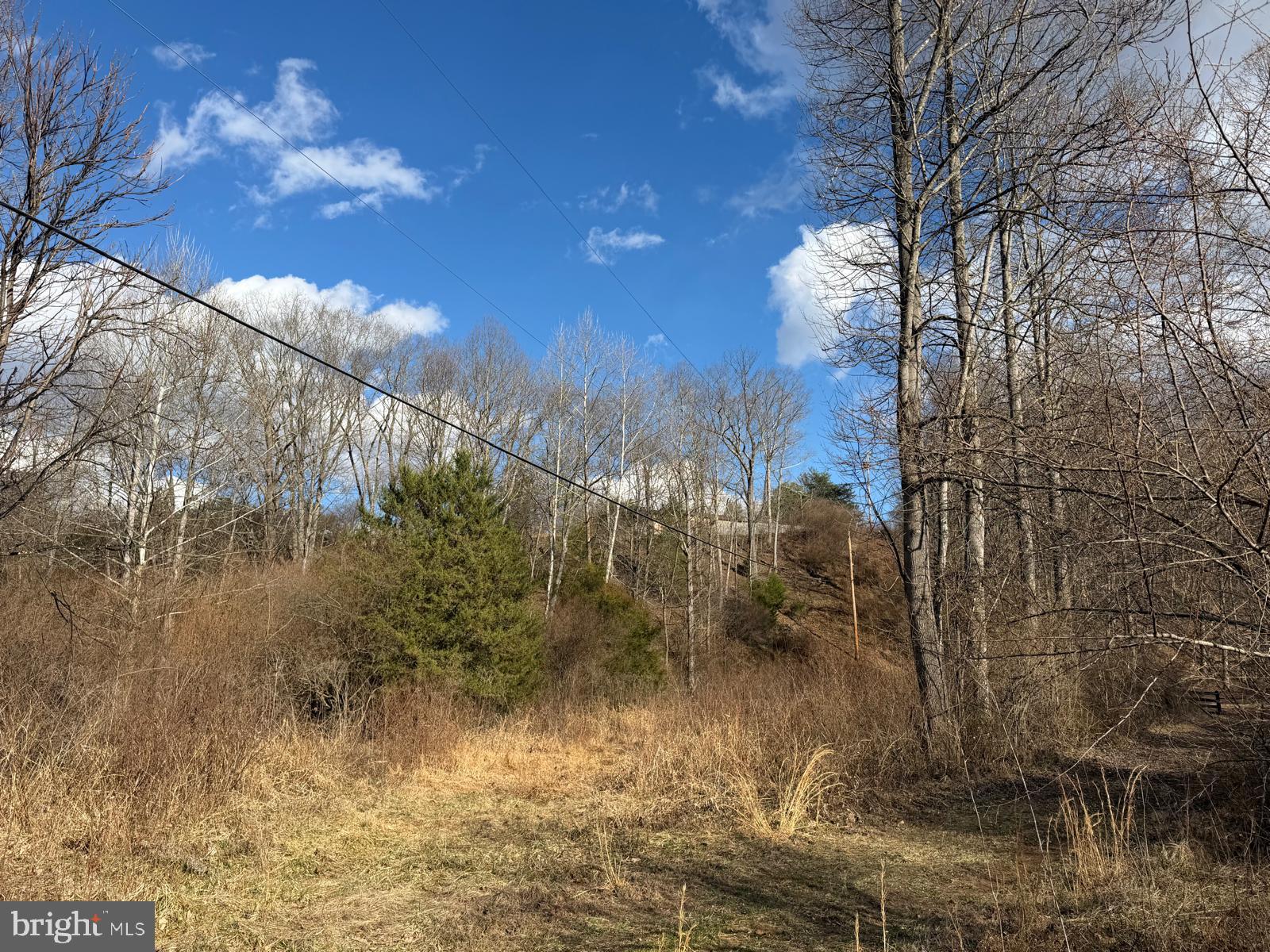986 Rushing River Road Augusta, WV 26704 - Photo 40 of 56