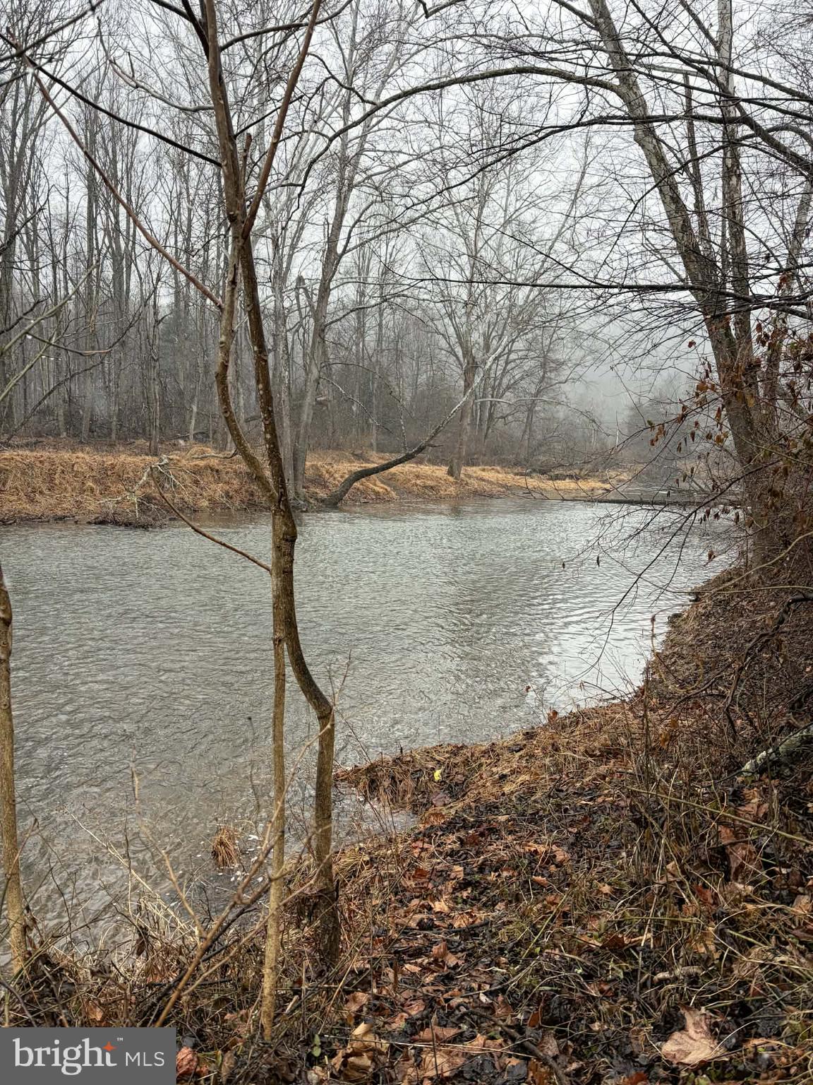 986 Rushing River Road Augusta, WV 26704 - Photo 46 of 56 North River View 2