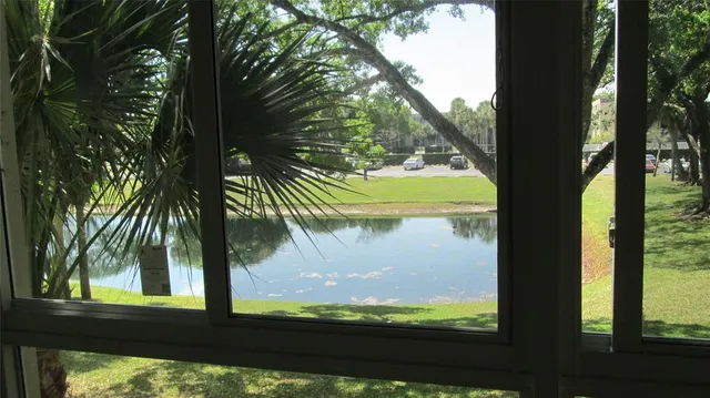 a view of a garden from a window