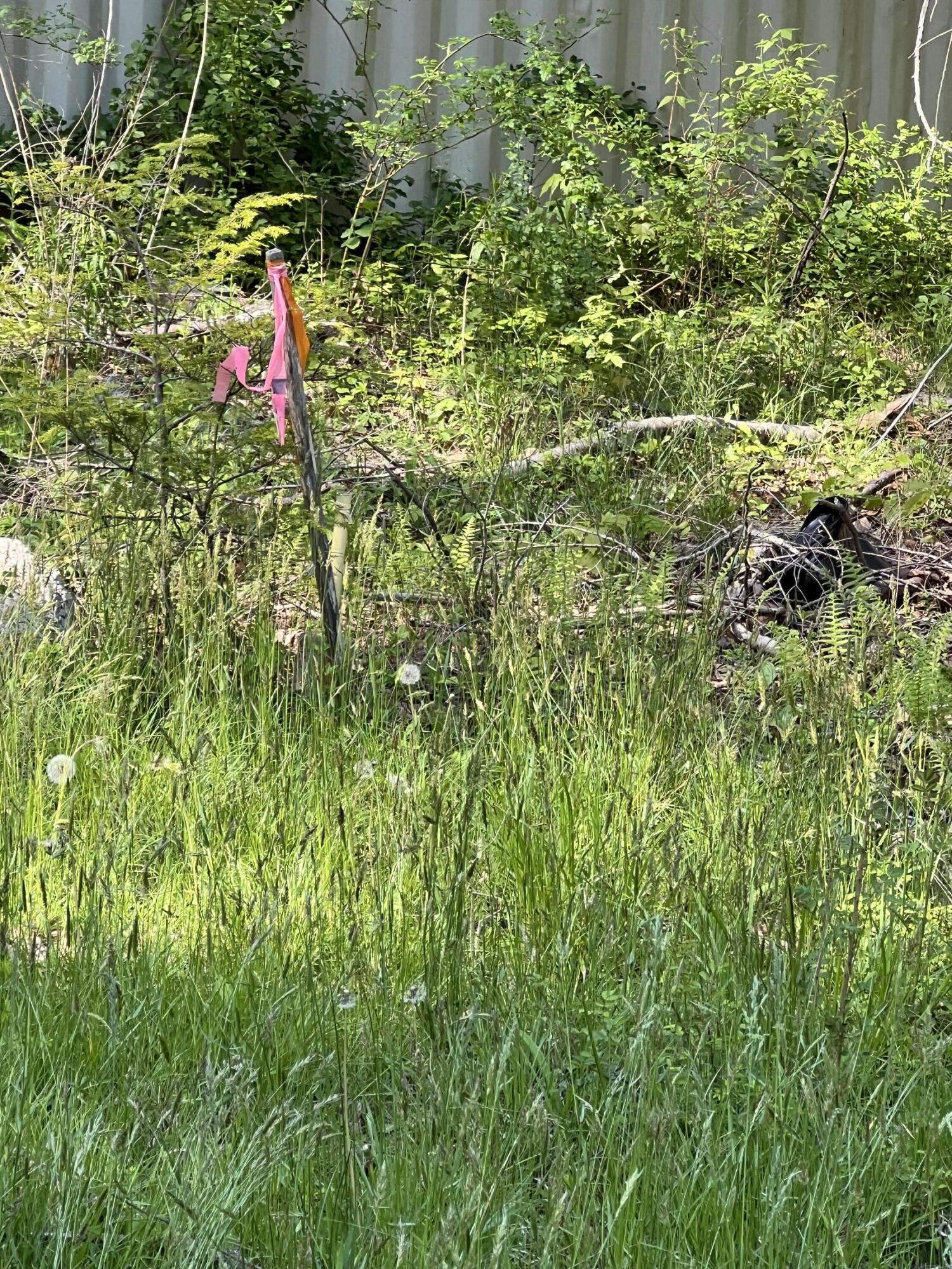 0 Curtis Ridge, Unit LOT 15B Eliot, ME 03903 - Photo 2 of 7 IMG_1119