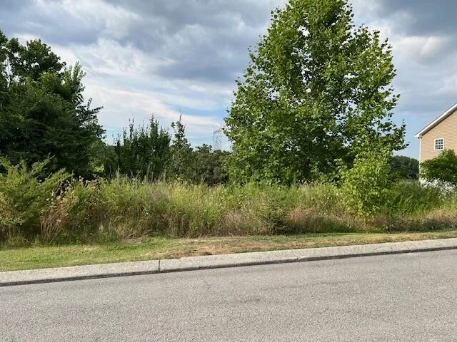 a view of a yard and a trees