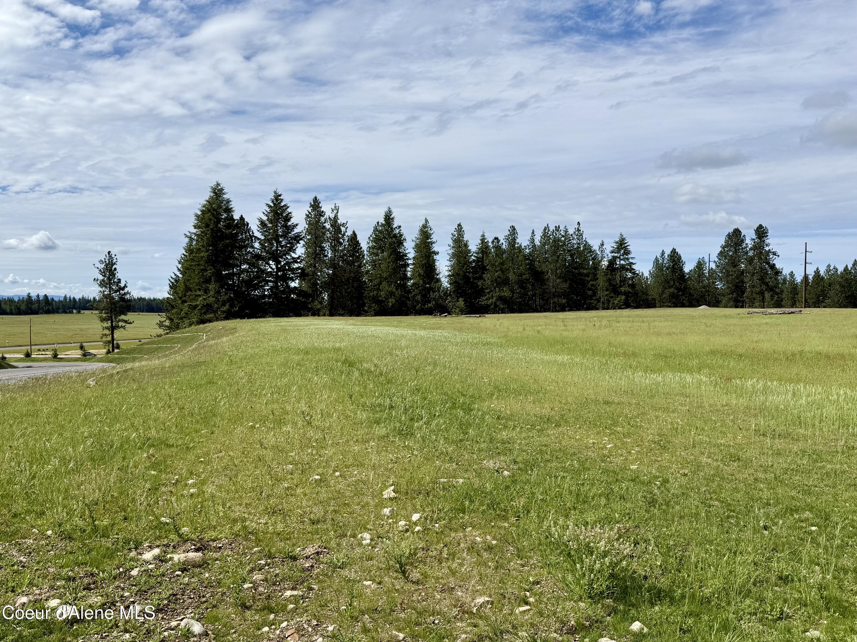 Lot 2 North Stonemason Way Rathdrum, ID 83858 - Photo 5 of 6 Elevated and lined with large trees.