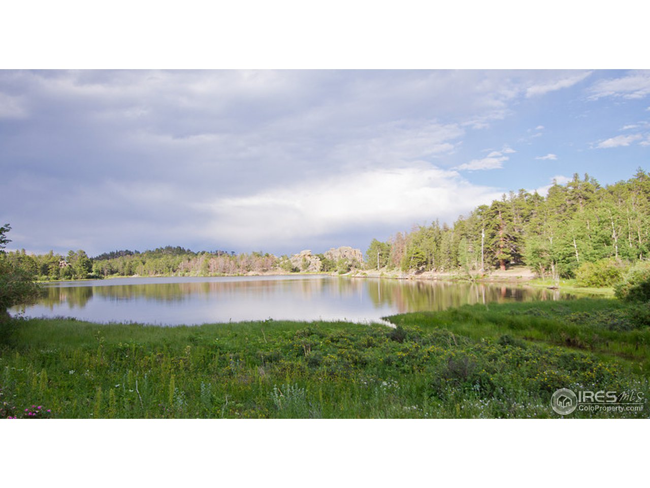 552 Nokomis Road Red Feather Lakes, CO 80545 - Photo 2 of 5 Nokomis Lake