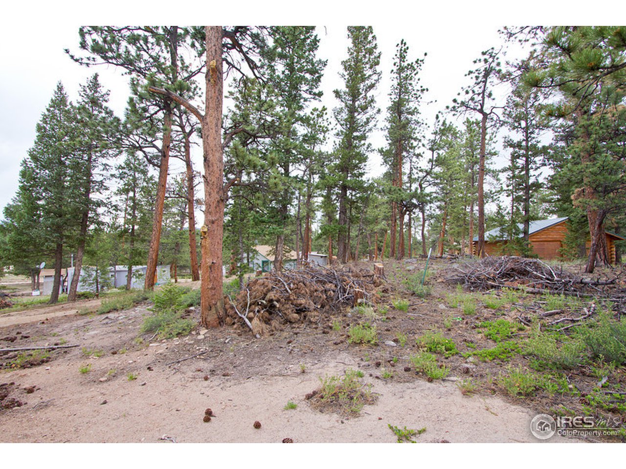 552 Nokomis Road Red Feather Lakes, CO 80545 - Photo 3 of 5 Vacant Lot
