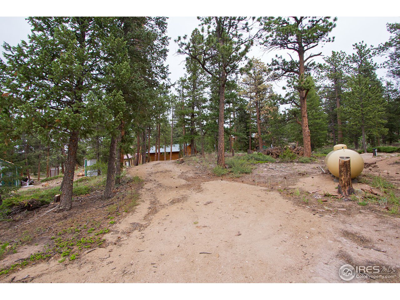 552 Nokomis Road Red Feather Lakes, CO 80545 - Photo 4 of 5 Vacant Lot
