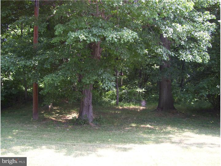 859 Morefield Road Philadelphia, PA 19115 - Photo 19 of 23 Back Yard
